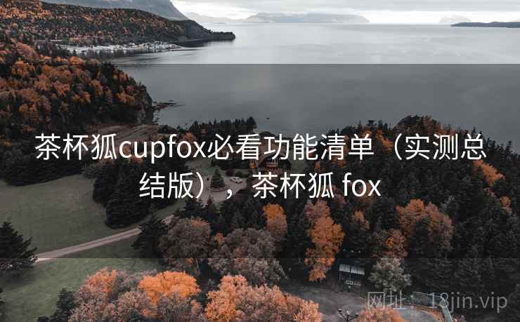 茶杯狐cupfox必看功能清单（实测总结版），茶杯狐 fox