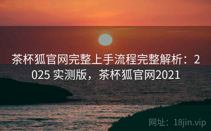 茶杯狐官网完整上手流程完整解析：2025 实测版，茶杯狐官网2021