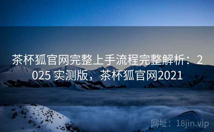 茶杯狐官网完整上手流程完整解析：2025 实测版，茶杯狐官网2021