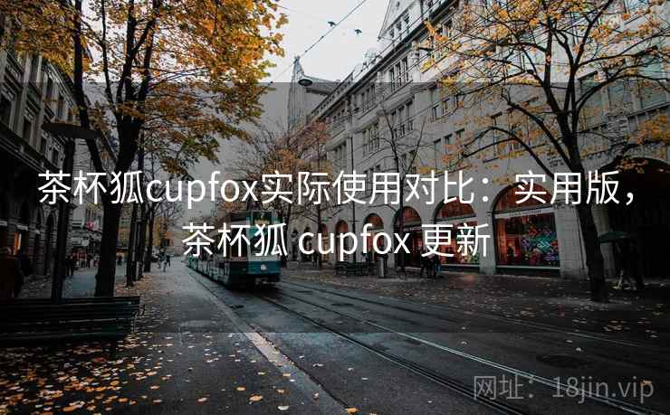 茶杯狐cupfox实际使用对比：实用版，茶杯狐 cupfox 更新